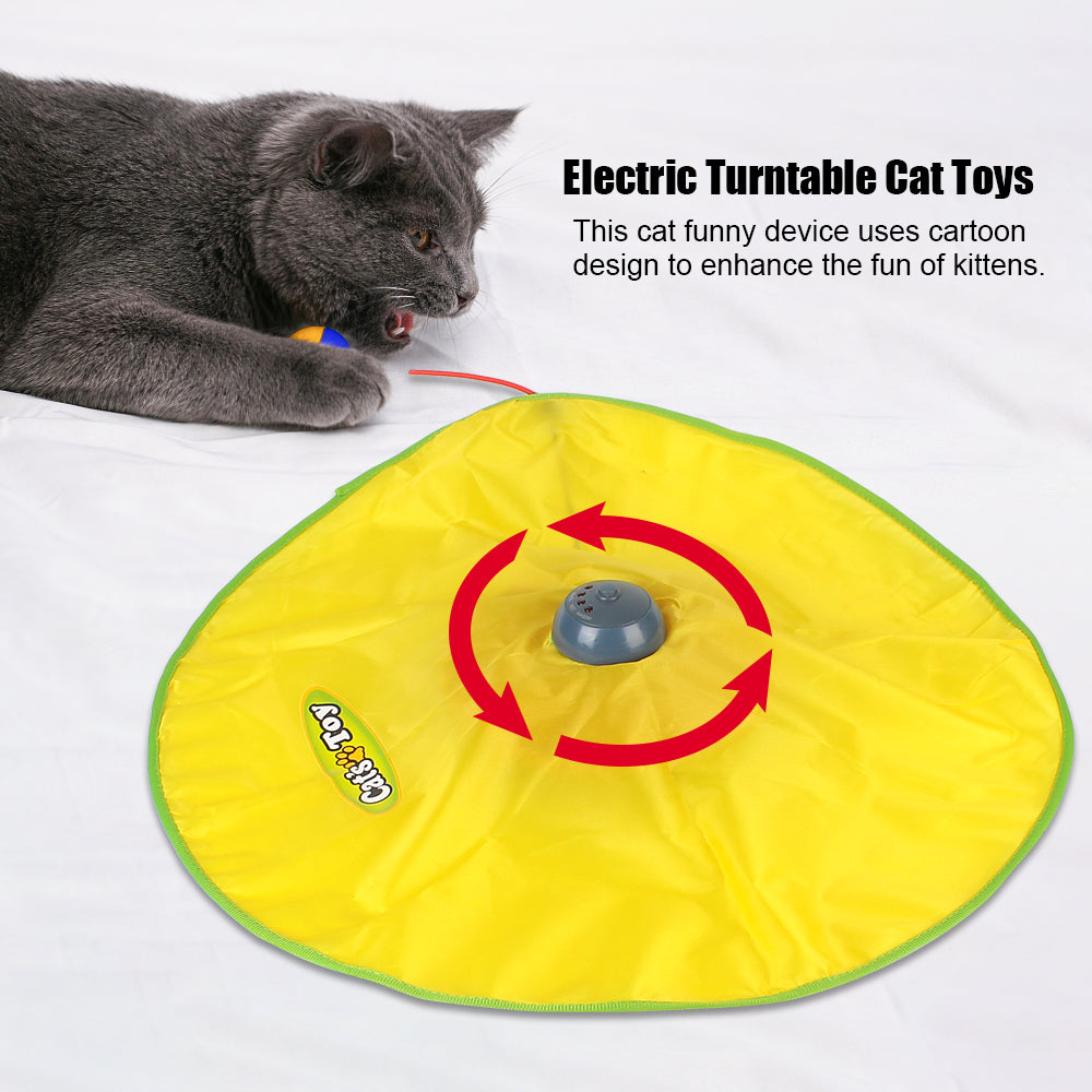 Interactive Pet Toy - 4 speeds