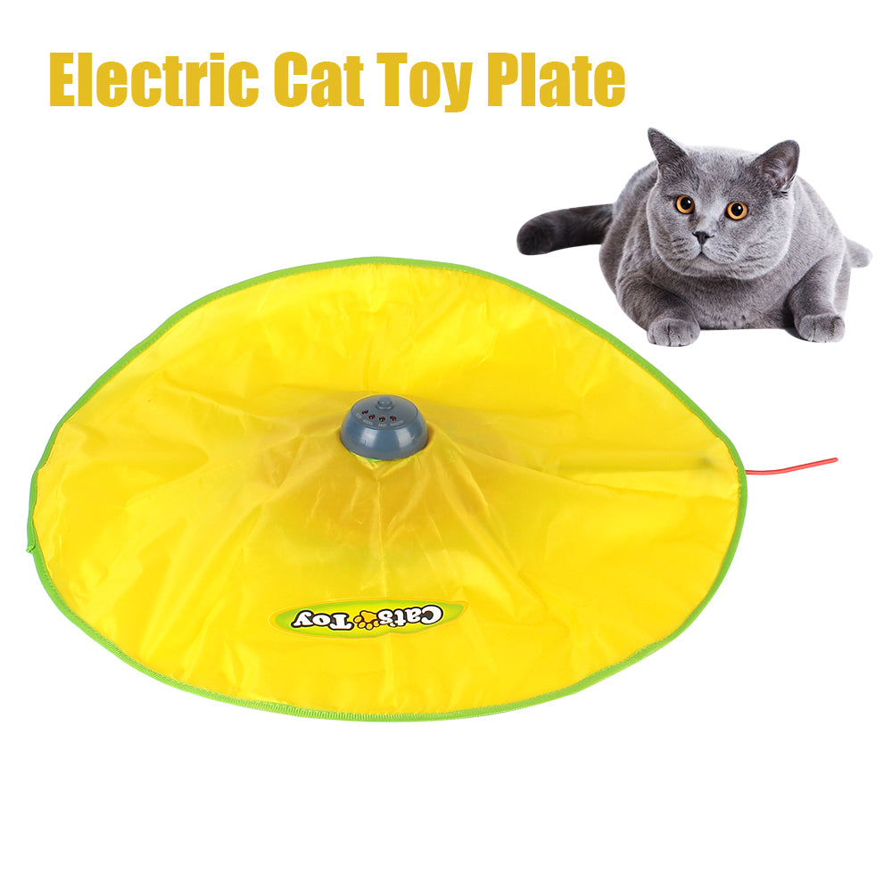 Interactive Pet Toy - 4 speeds