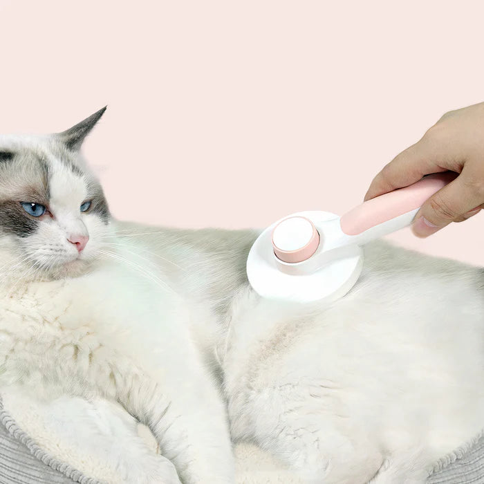 Self-cleaning Animal Brush