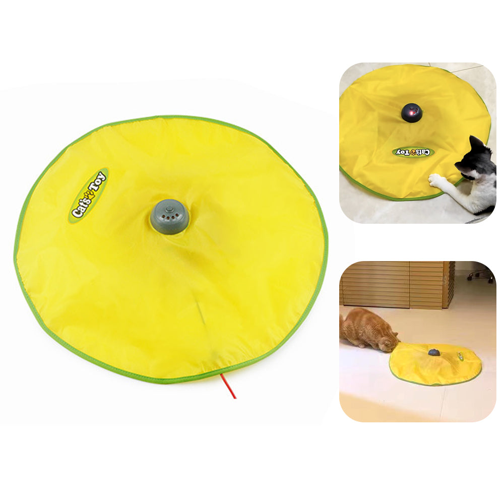 Interactive Pet Toy - 4 speeds