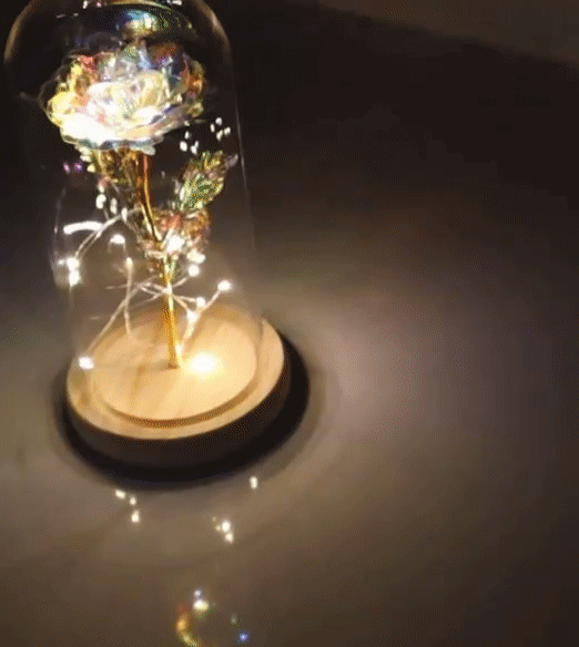 Rose in bell jar - LED