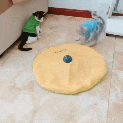Interactive Pet Toy - 4 speeds
