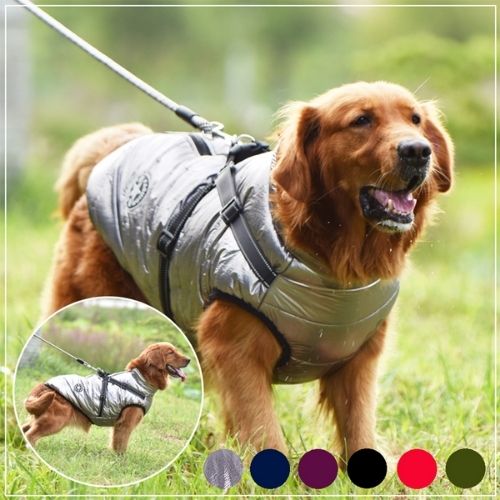 Waterproof Dog Harness