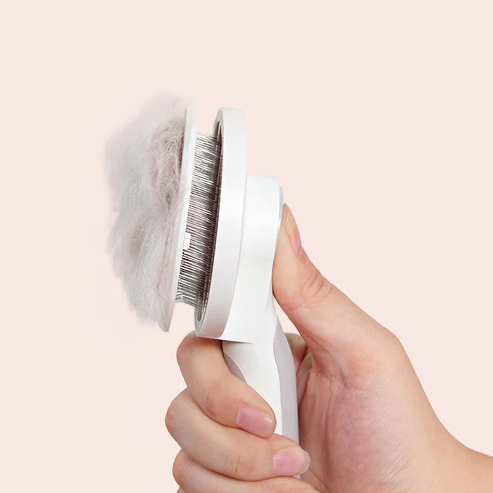 Self-cleaning Animal Brush
