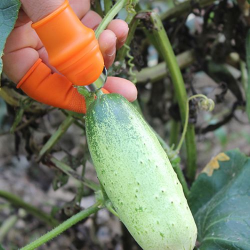 Thumbknife